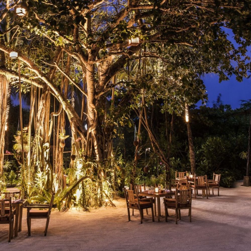 ONE and ONLY REETHI RAH - BOTANICA