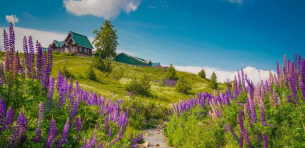 Gulmarg View
